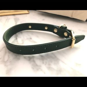 Luxury dog collar, Forest Green